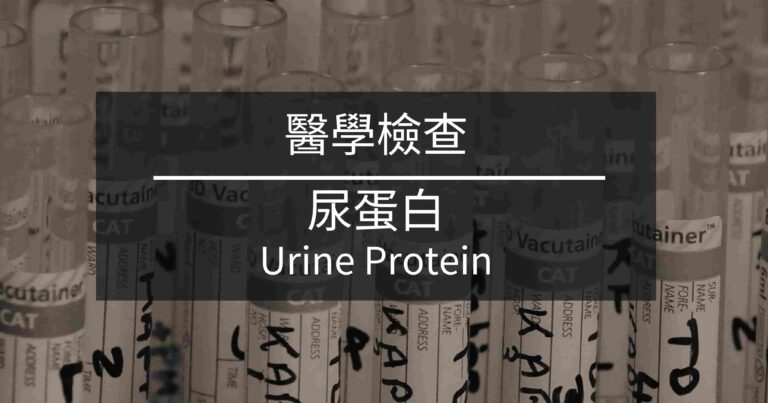 標題：尿蛋白 Urine Protein